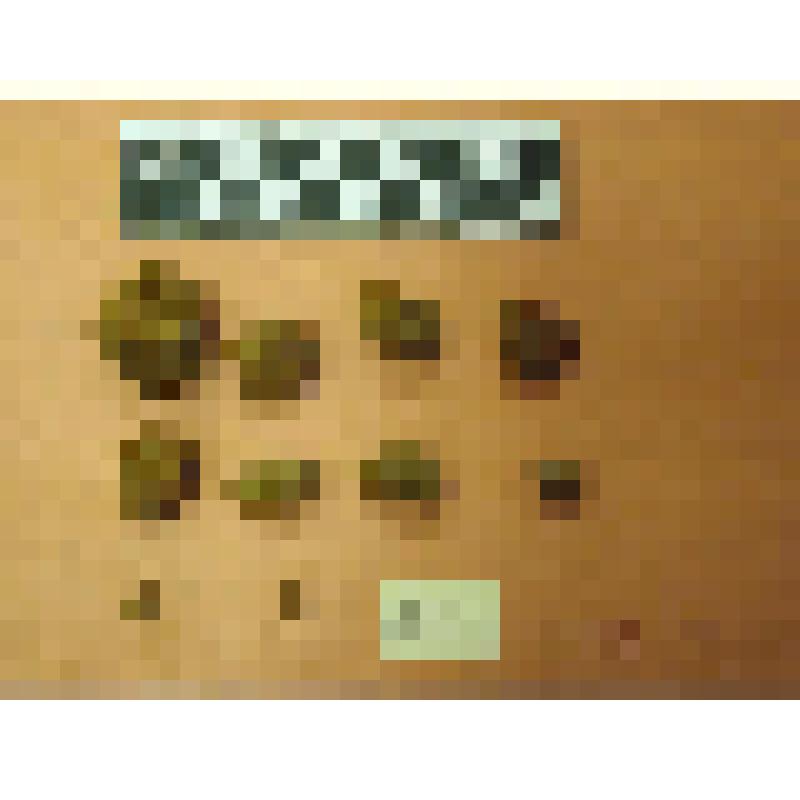 остатки глиняных изделий