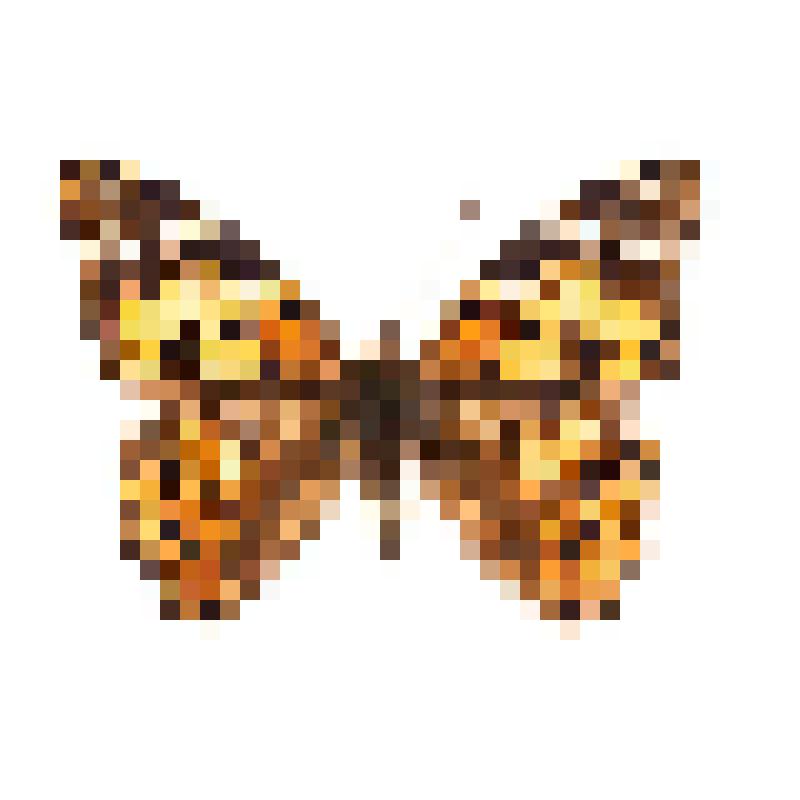 Насекомые. Бабочка. Репейница. Vanessa cardui (Linnaeus, 1758) (Чертополоховка или адмирал розовый, или крашенная дама)