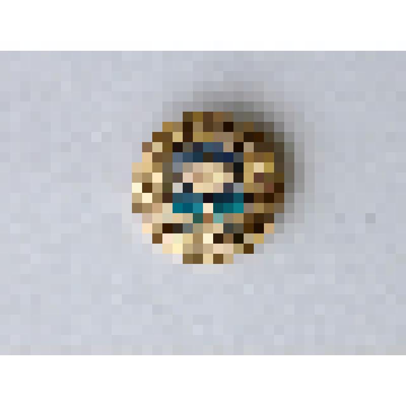 Значок нагрудный  с древним  гербом города Тюмень