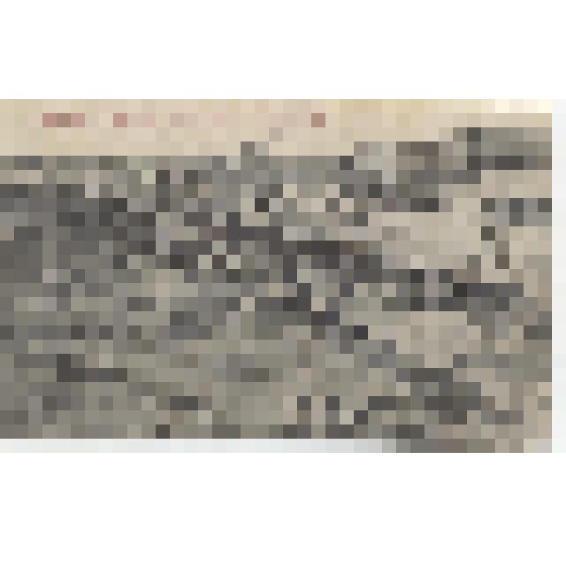 Открытое письмо «Г.  Царицын н/В. Базарная площадь»