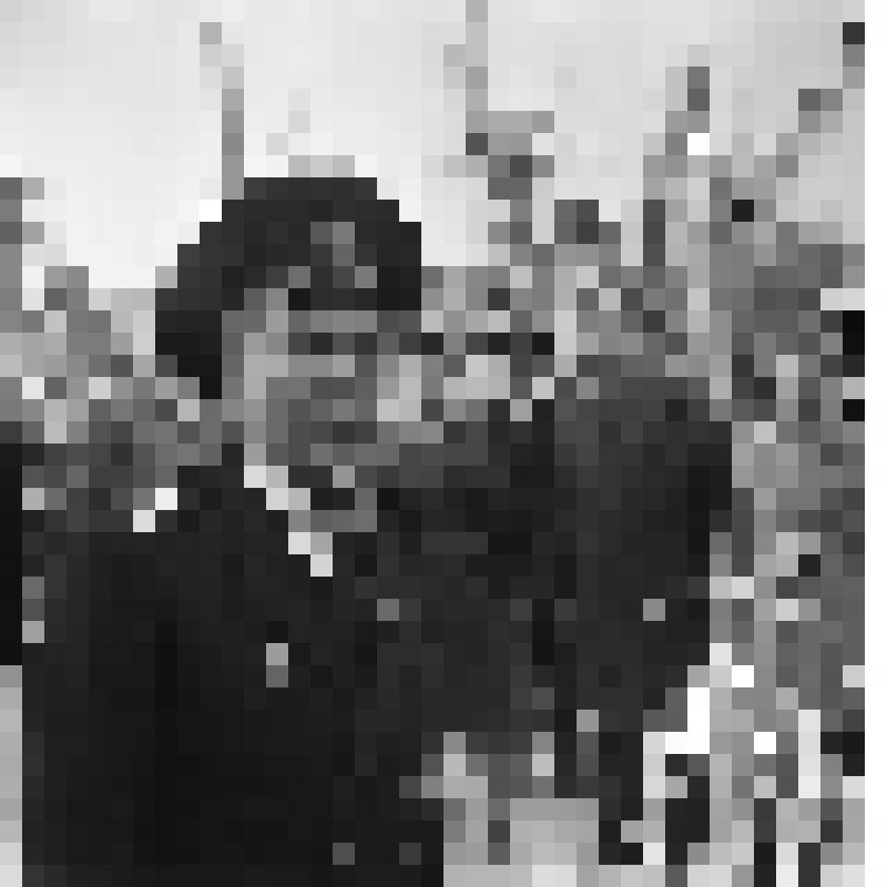 Негатив. Митинг комсомольцев и молодёжи города и флота, посвящённый присвоению почётного наименования "Севастопольский комсомолец" базовому тральщику Черноморского флота