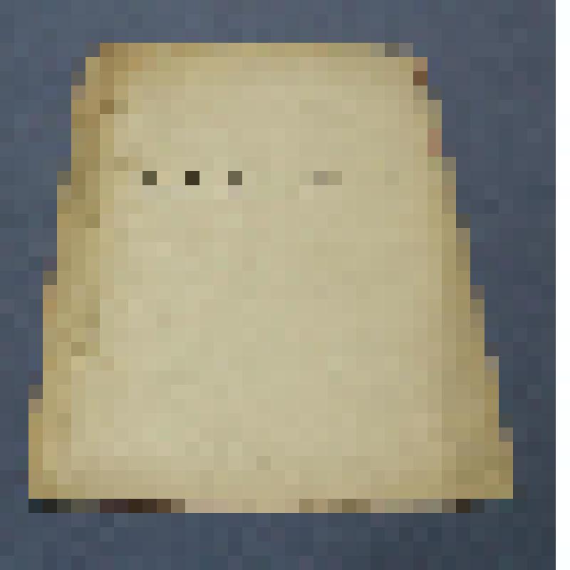 Ботаническая коллекция. Пихта сибирская, на гербарном листе, Красноярский край, Ермаковский район, окрестности станции Кулумыс. Cем. Pinaceae Abies sebirica  Z