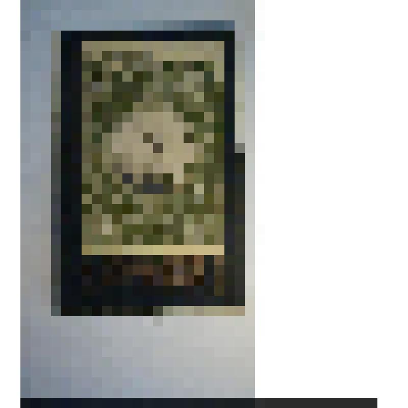 Репродукция с фотографии Л.Н.Толстого на картоне с текстом на немецком языке