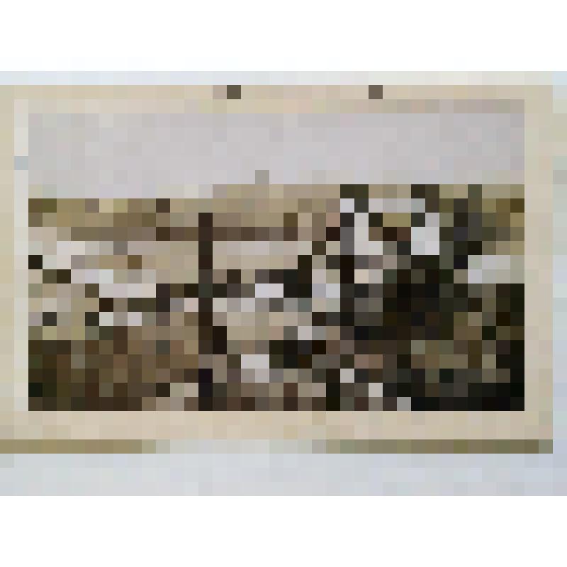 Николаевский цепной мост. 1853 г. г. Киев. Цепной мост через Днепр. из альбома. Общий вид. Издатель не указан