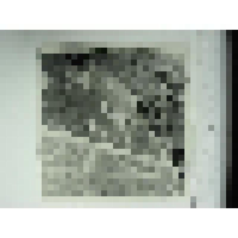 Усадьба управляющего Кусинским заводом. Главный дом. улица Андроновых, 13. 1895 г., 1909 г. Челябинская  обл., Кусинский р-н, г. Куса. Усадьба управляющего Кусинским заводом. Конюшни. улица Андроновых, 13. 1895 г., 1909 г. Тележников Ф. А. Аттик на восточ