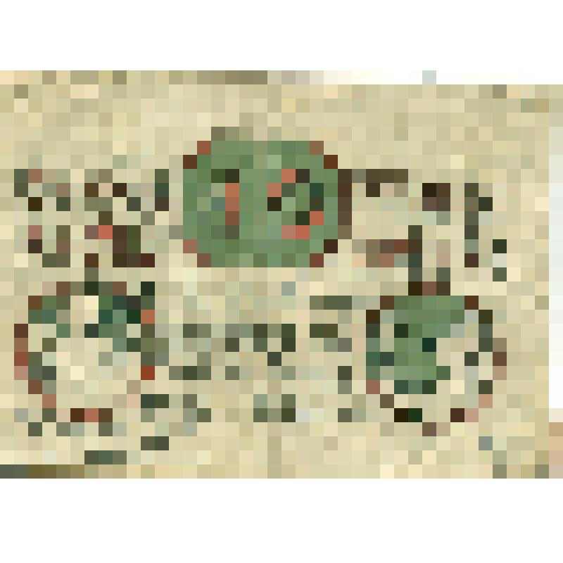 Бумажный денежный знак 10 пфеннигов  1920 год, Лорх