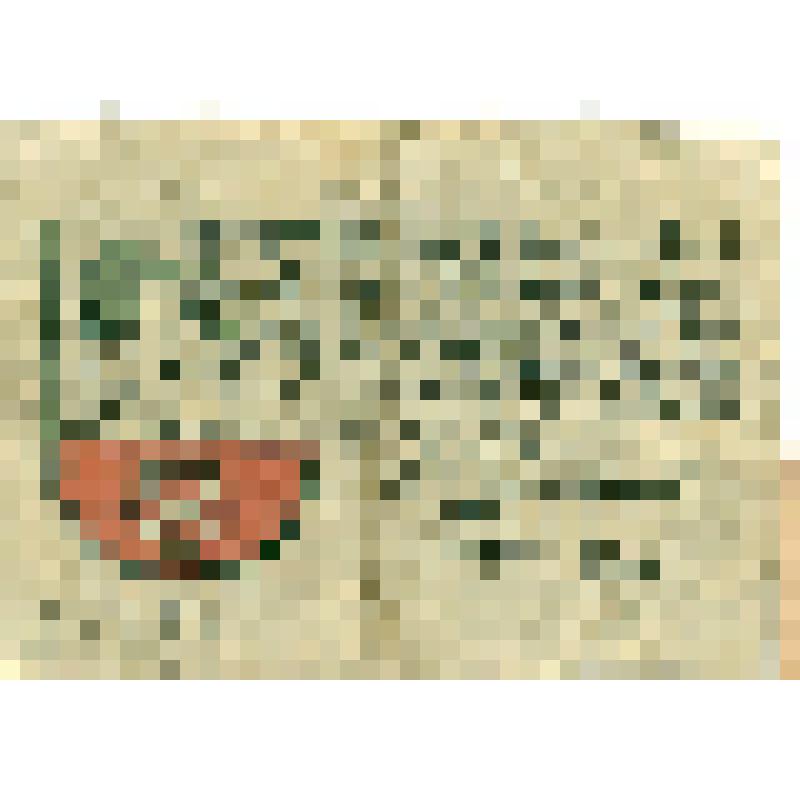 Бумажный денежный знак 10 пфеннигов  1920 год, Лорх