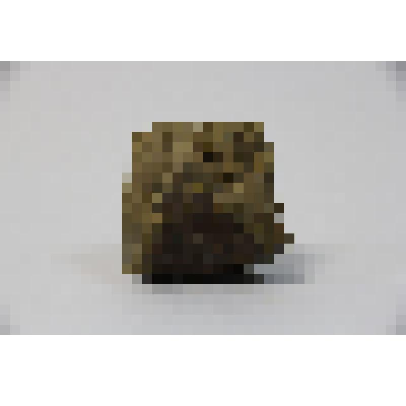 Палеонтологический образец.  "Створки раковин брахиопод (Brachiopoda) на кремне."