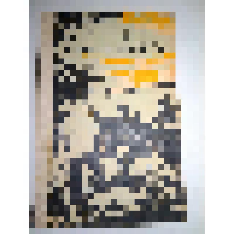 Книга. Алферов Р. Юность Шагита