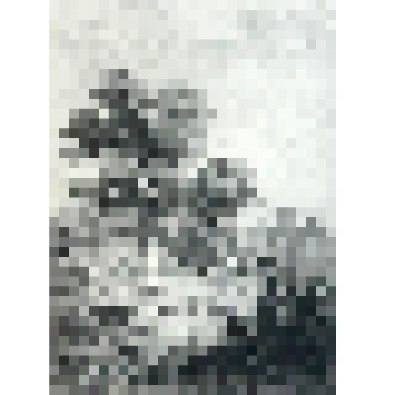 "Деревья у дороги". Гравюра