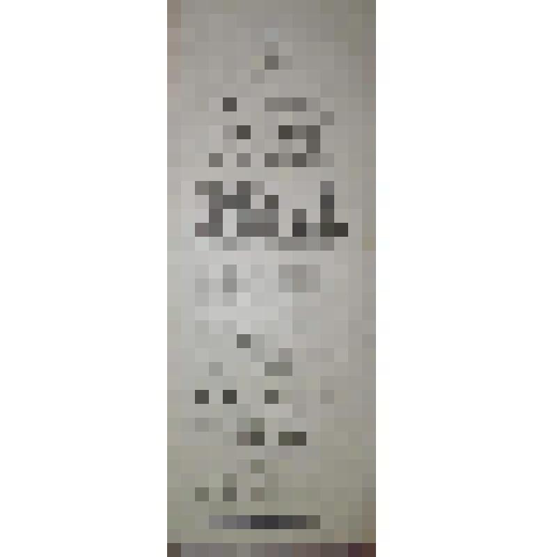 Программа с исполнителями. "Женитьба Белугина" (Режиссер - П.М.Корсаков). Архангельск, Гагаринский сквер. Дирекция Петра Кузьмича старшего Минаева; Антреприза, Труппа русских драматических артистов