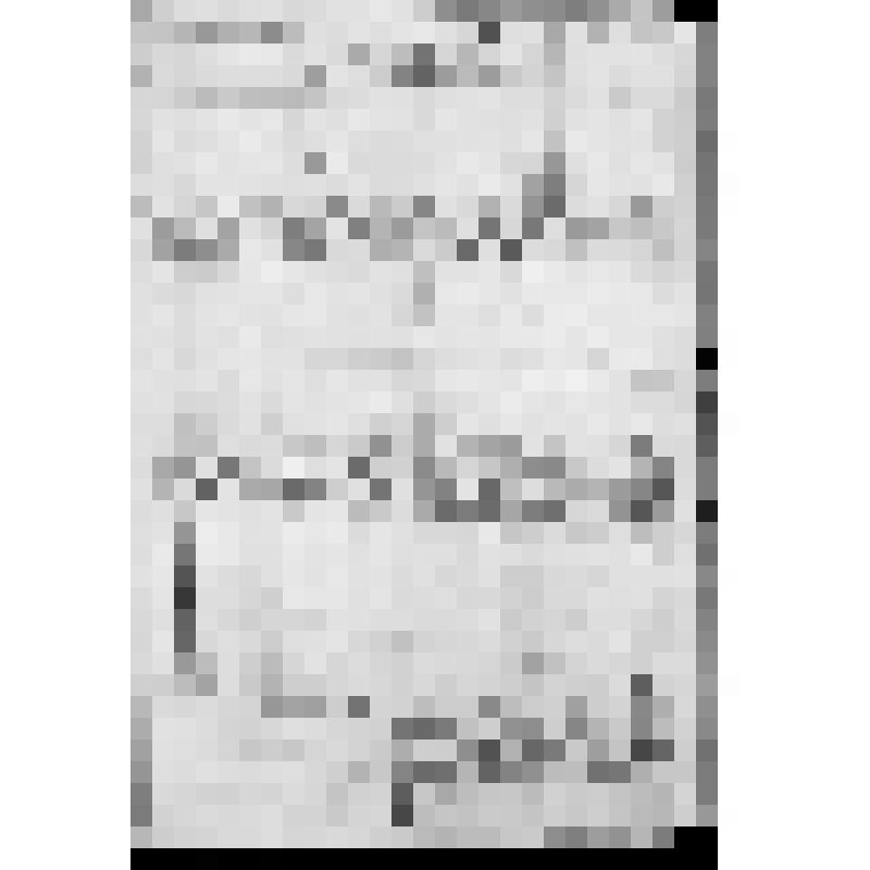 КОПИЯ РАПОРТА