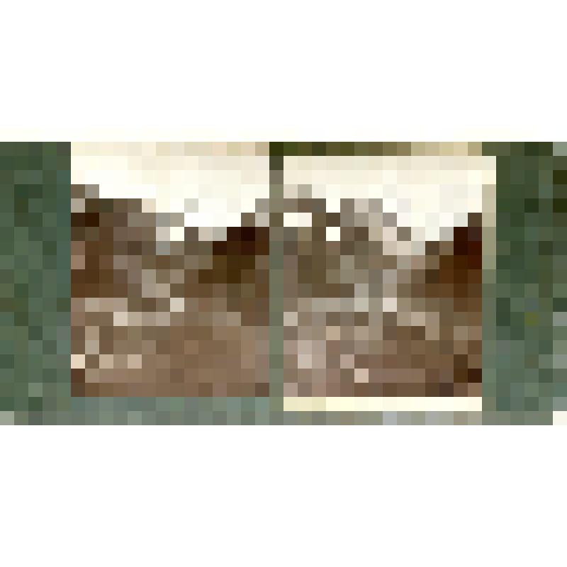 Карточка для стереоскопа «У южного подножия Эльбруса в котловине Хоти-Тау». Из коллекции «Кавказ» с видами природы Западного Кавказа, серии 3-№2. Автор фото Н.Л. Минервин