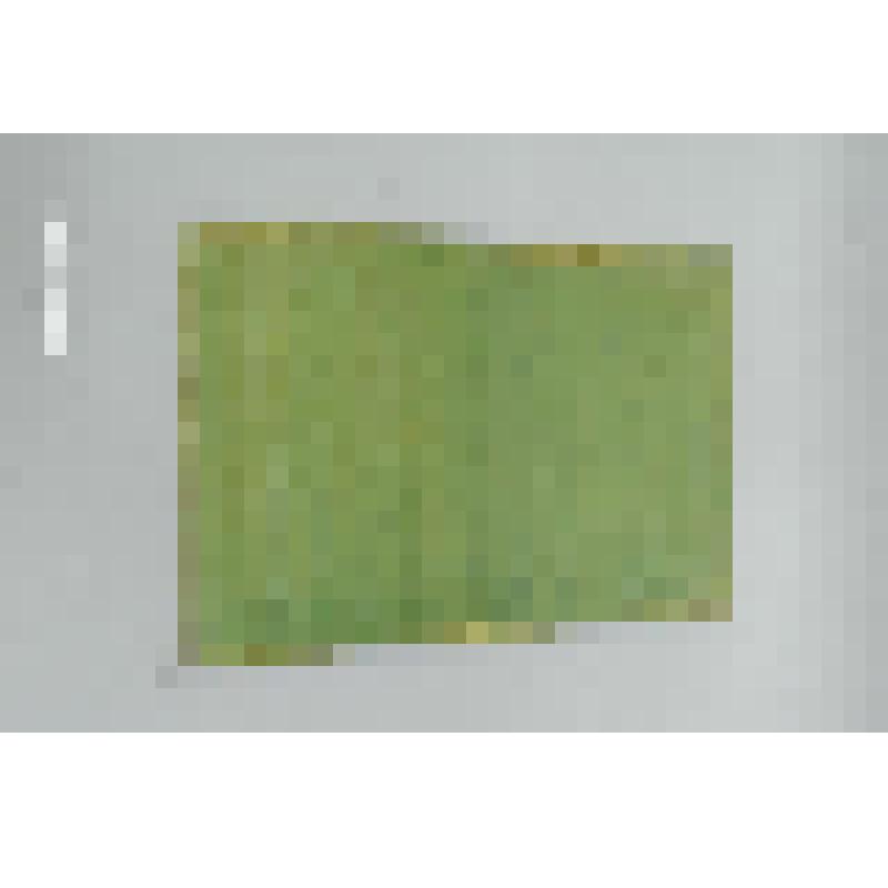 [ Трактат между Россией и Испанией о согласии и союзе. Подписан в Великих Луках 8 (20) июля 1812 г. ]. Брошюра