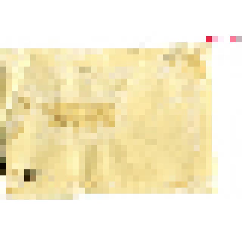 Фото (групповое). Слушатели 5-дневного курса секретарей первичных парторганизаций в Дюртюлинском РК ВКП(б)