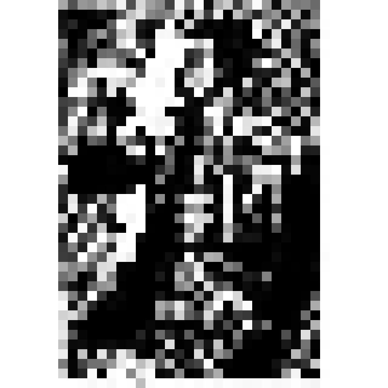 Портрет В.В.Маяковского