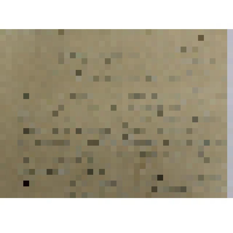 Ответ Белошицкой А.И.,  Б-18 начальника группы УКГБ по Сахалинской области о том, что в ближайшее время ей будет сообщено о судьбе ее мужа Белошицкого И.Г. Ей будет выдано свидетельство о его смерти