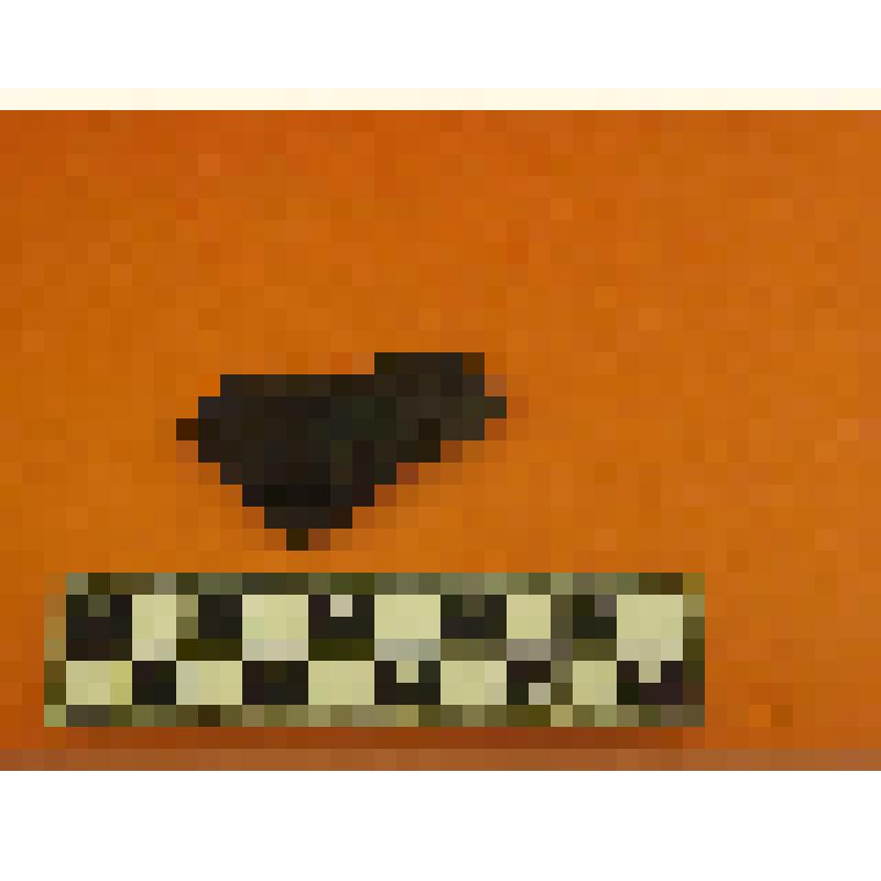 фрагмент гладкостенной керамики