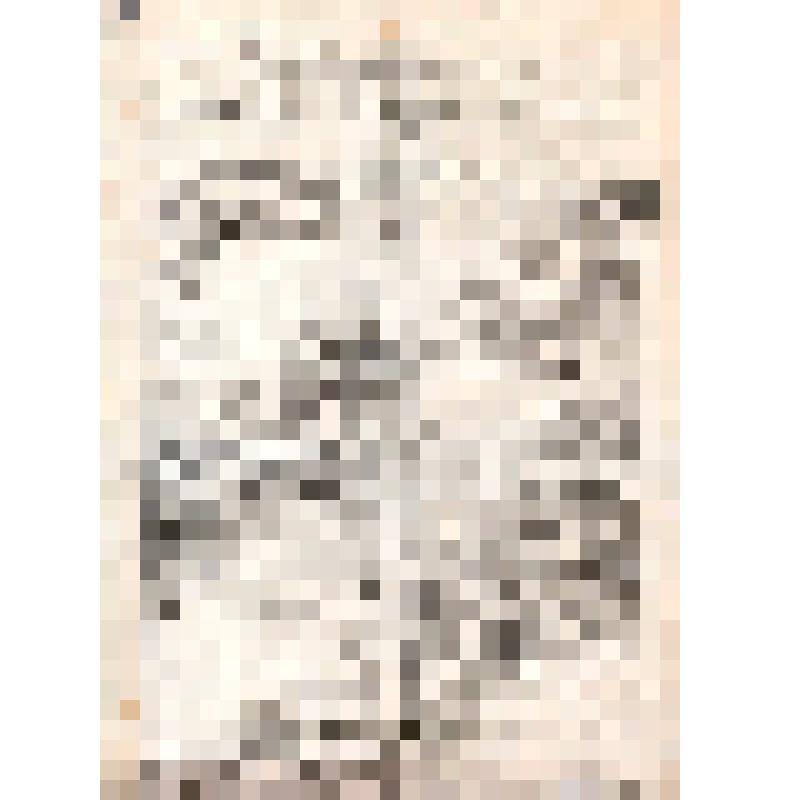 Российская социал-демократическая рабочая партия. Одесский комитет РСДРП. Российская "смута" и социал-демократия