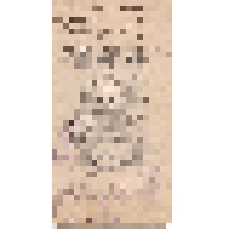 Фотография. Портрет Бреева В.И