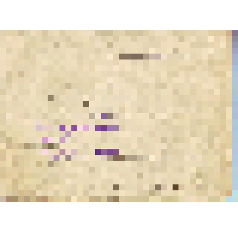 Вкладыш в трудовую книжку колхозника на 1963 г. Болтушкиной А.С