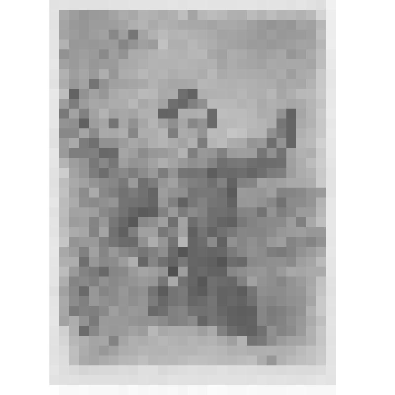 Семен Дмитриевич Лисаневич. Пересъемка акварели Г.В. Коррадини (1847-1850)