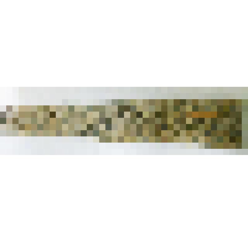 Фрагмент лобовой доски