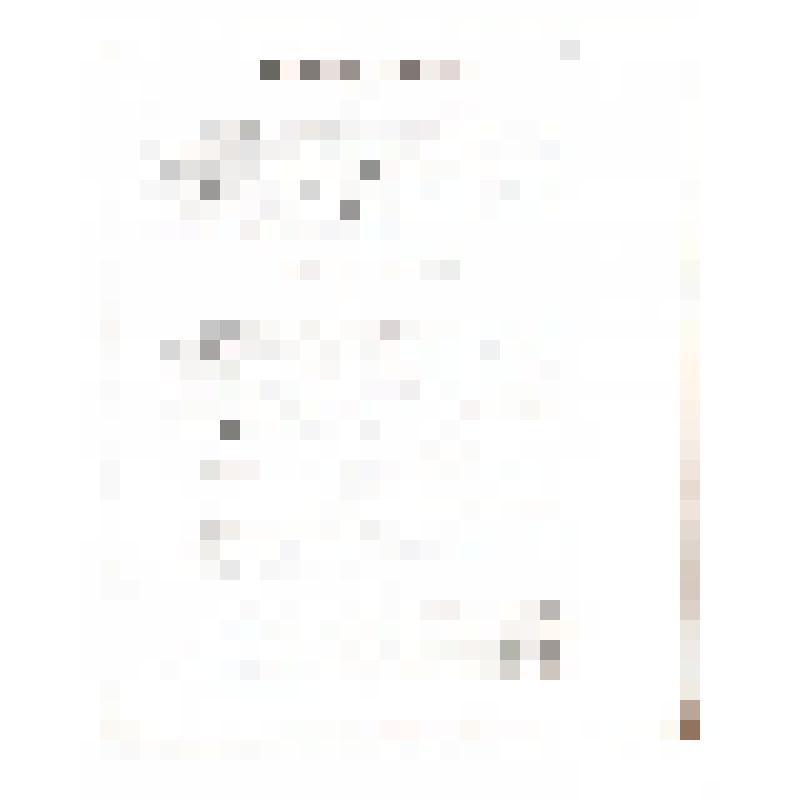 Фотокопия. Страница Устава Гатчинского Общества "Просвещения"