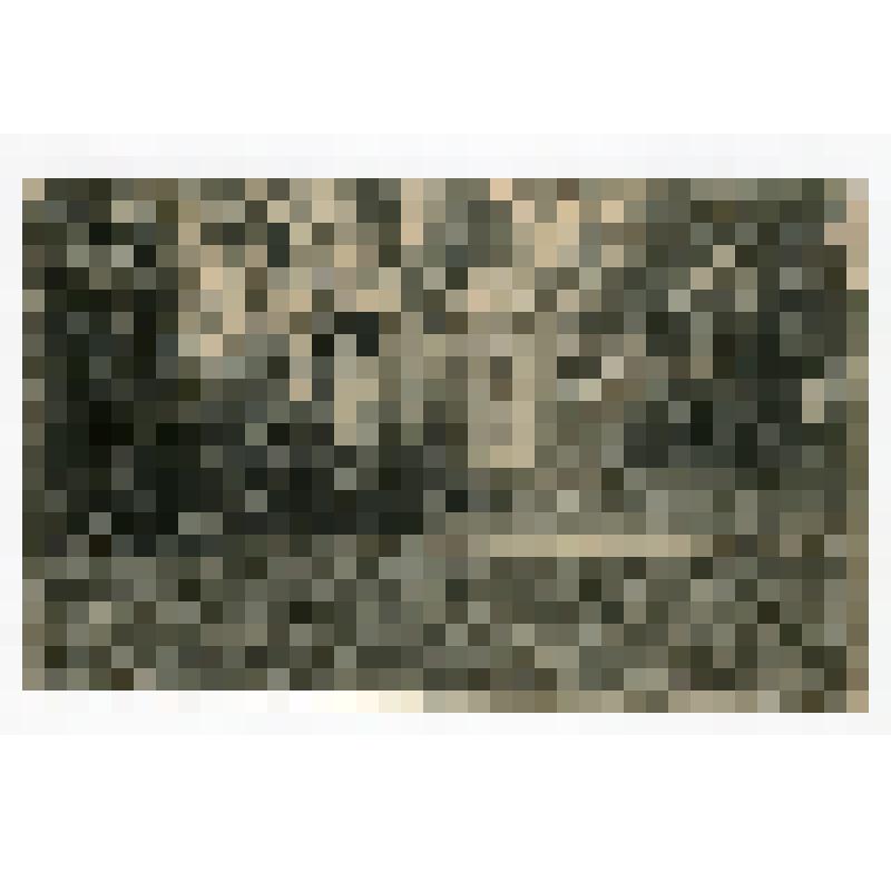 Почтовая карточка "Гатчина. Березовый дворец в парке"