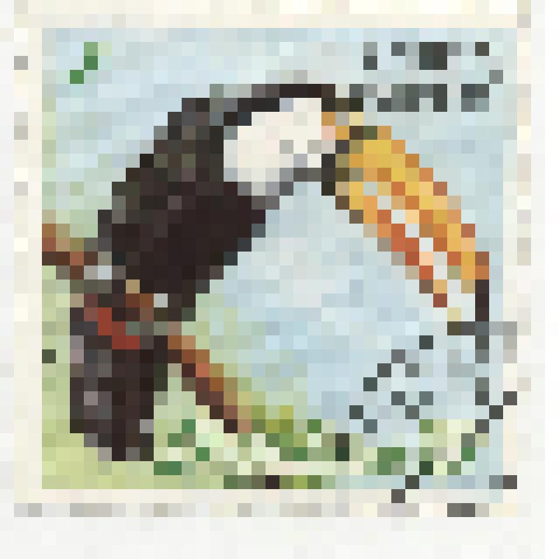 "Ramphastos toco". Куба, 1986 г. Гашеная. Марка почтовая