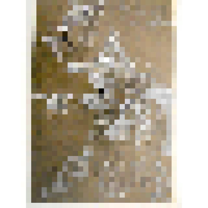 Эскиз. Персонаж "Бабуля - Божий одуванчик". "Врать-то?.." (Режиссер С. Столяров). Великий Новгород, Новгородский городской театр для детей и молодёжи «Малый»