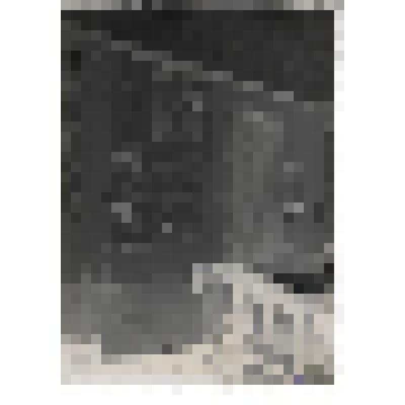 Выставка «20 лет РККА» в Государственном литературном музее