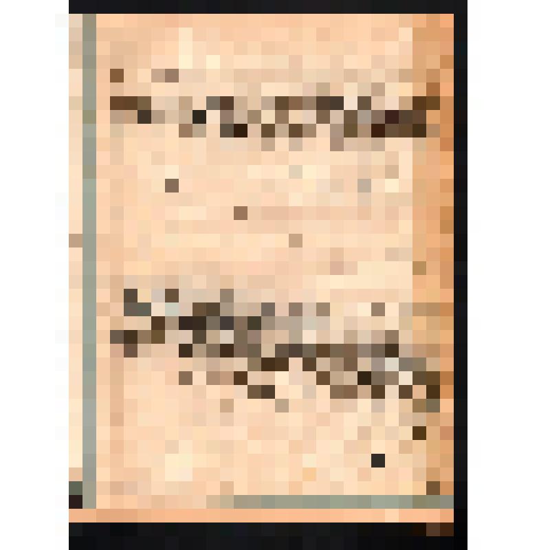 Воспоминания Мирошниченко М.Н. о своем муже - Мирошниченко И.И. - участнике событий 1905 г