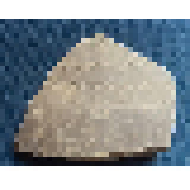 Фрагмент стенки станкового сосуда