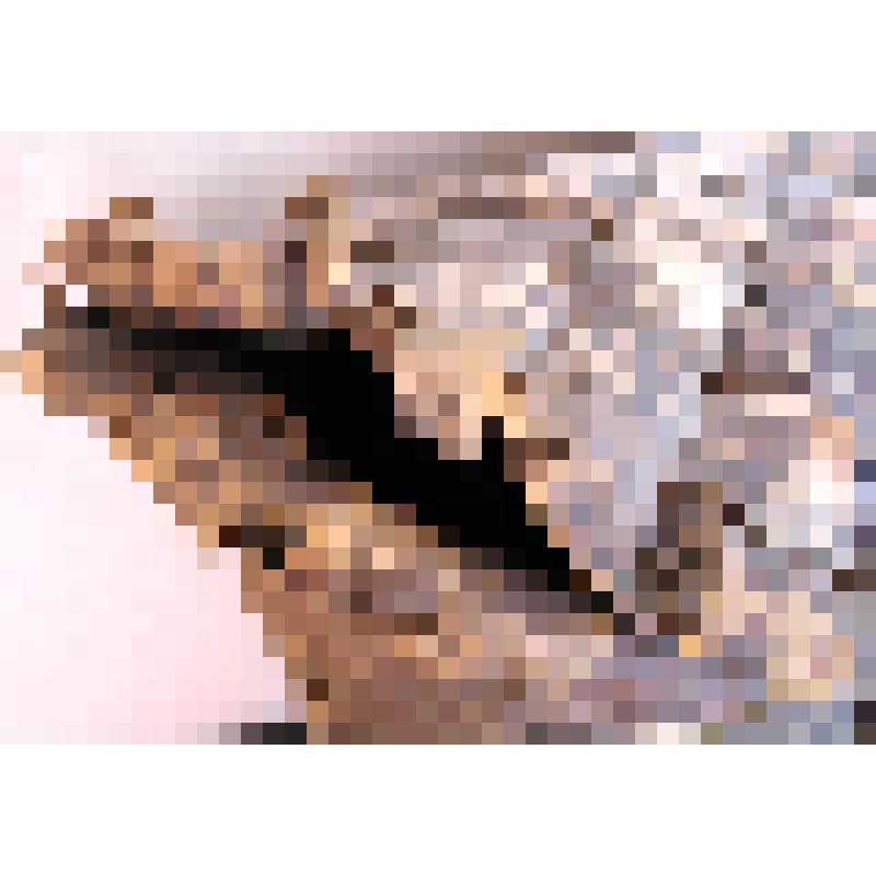 Пестерь из бересты