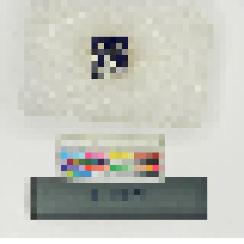 СССР. Фирменный значок СТД РСФСР