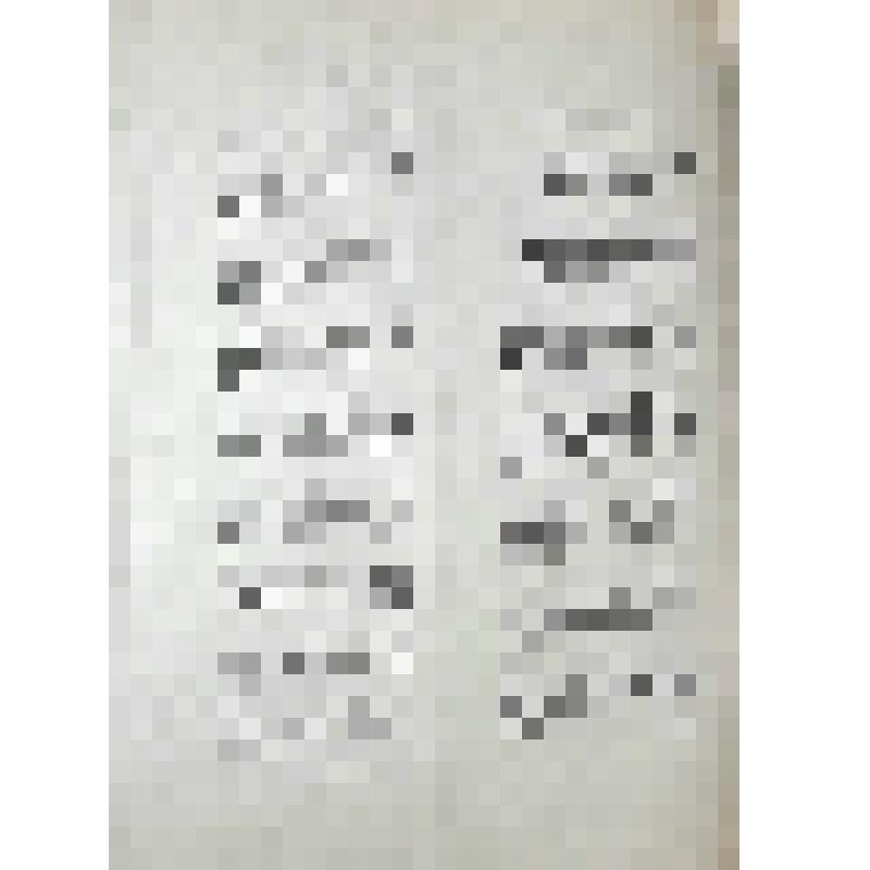 Эмигрантский комитет. Доклад социальной фракции Палаты Депутатов