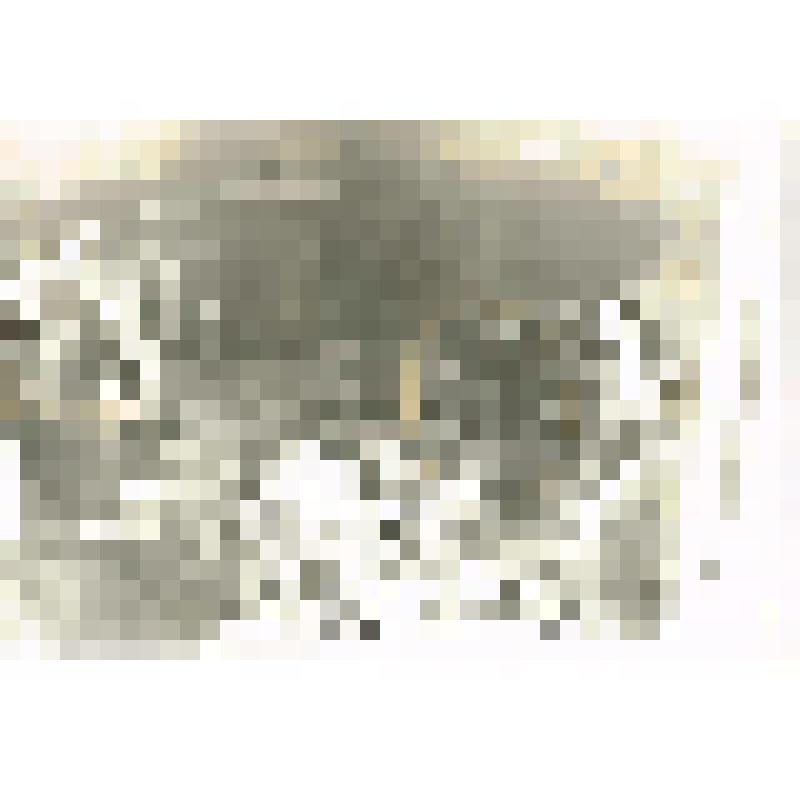 Фотография чёрно-белая. Обеденный перерыв на стрительстве детсада