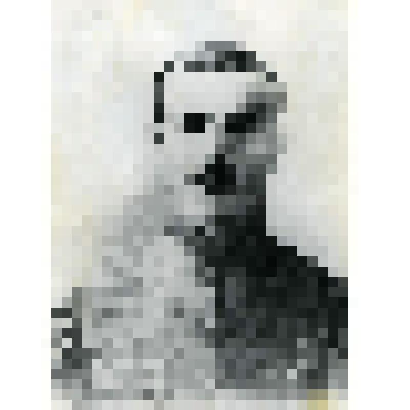 Фотография. Житель села Коломенского, А.П. Горохов – Гробов в военной форме