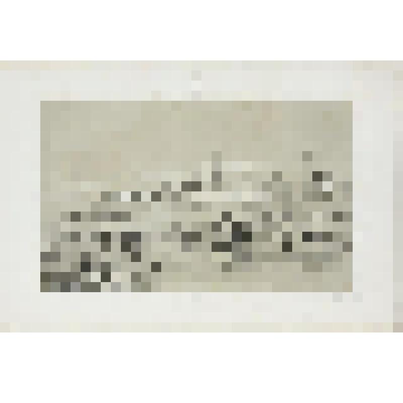 Литография. "Казань. Крепость. Со стороны реки Казанки."