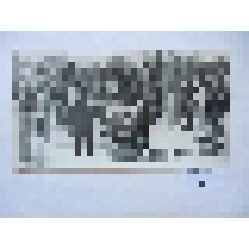 Фотоматериалы, отражающие деятельность Поста № 1 у мемориала "Огонь Вечной Славы". Фотография сюжетная