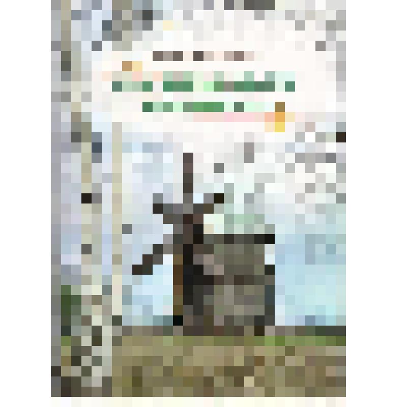 Книга. На крыльях времени