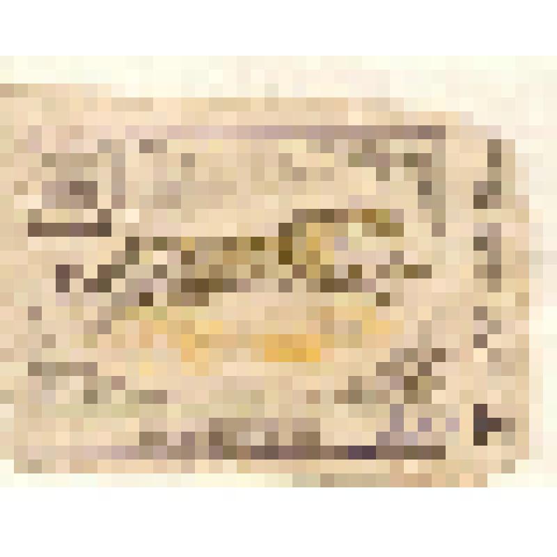 Коллекция спичечных этикеток Павла Немцова. "Гепард"