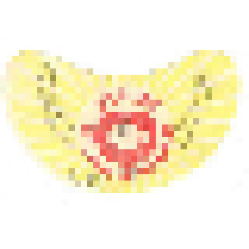 Кольеретка-этикетка горловая к напитку «Мзиури» производства Сухумского завода пива и фруктовых вод, из коллекции кольереток – этикеток горловых к безалкогольным напиткам