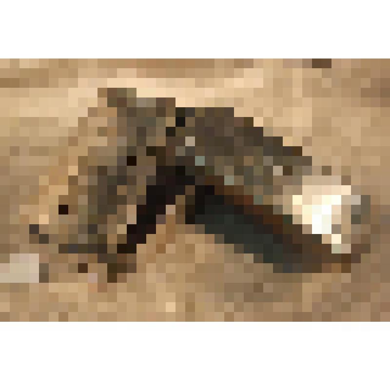 Стерилизатор медицинский, из коллекции предметов быта от сотрудников Саратовского областного музея краеведения