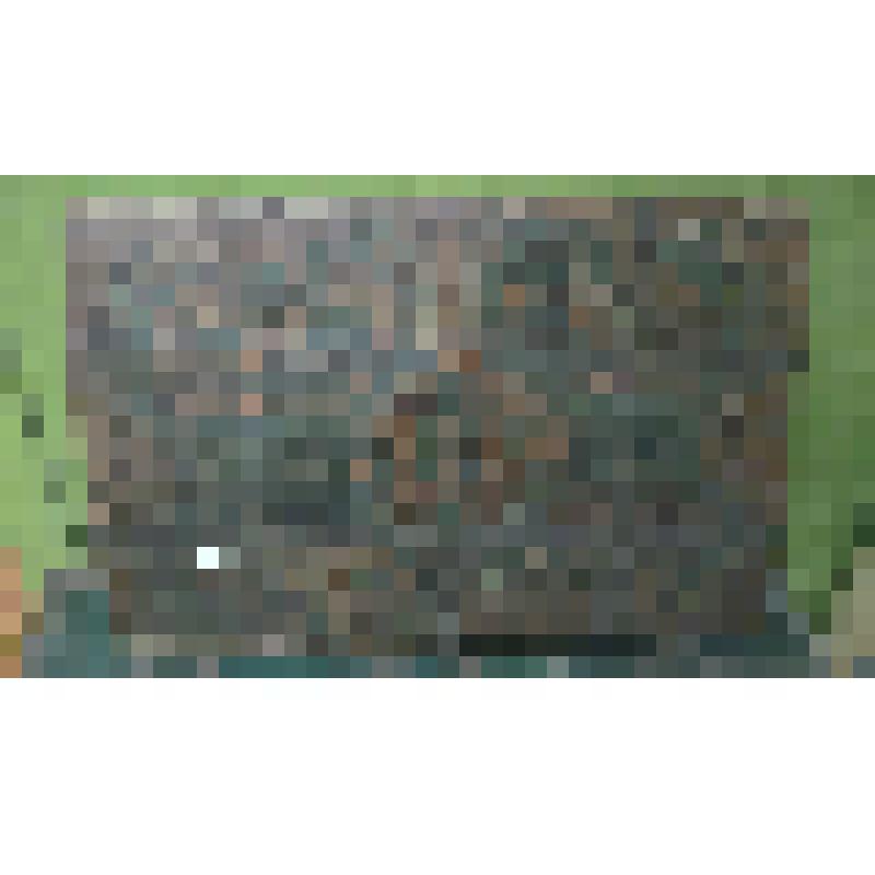 Крышка от сундука расписная