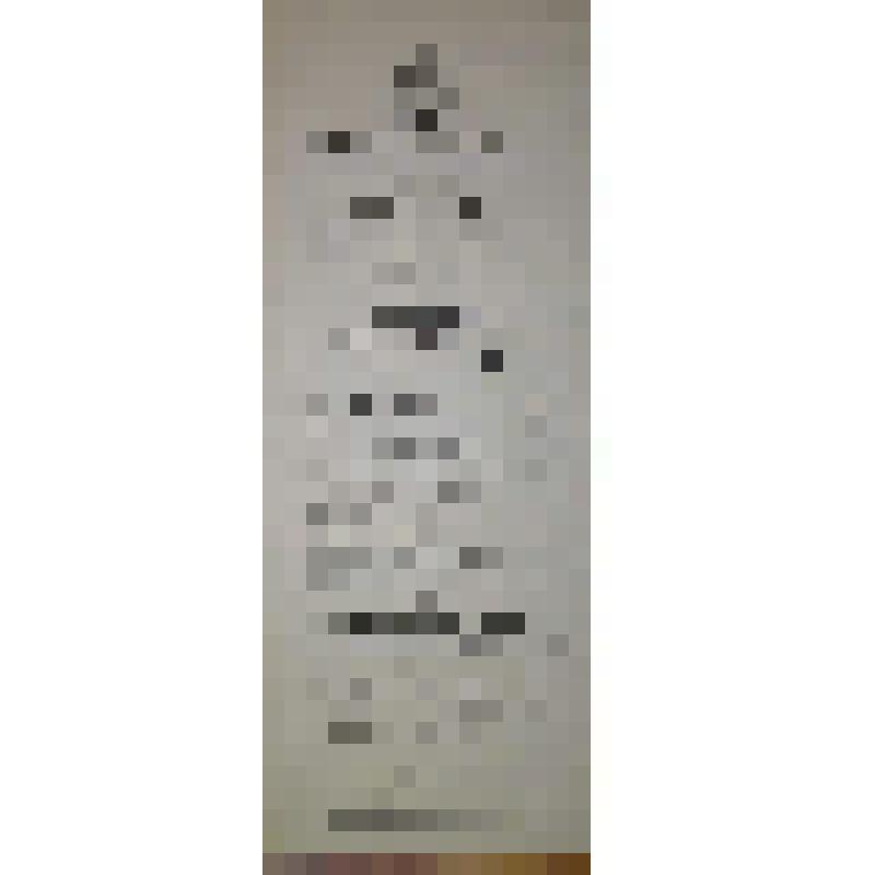 Программа с исполнителями. "Городские стервятники" (Режиссер - Берже); "Кречинский в юбке". Архангельск, Городской театр; Антреприза, Труппа драматических артисов. Дирекция Г. Леонова