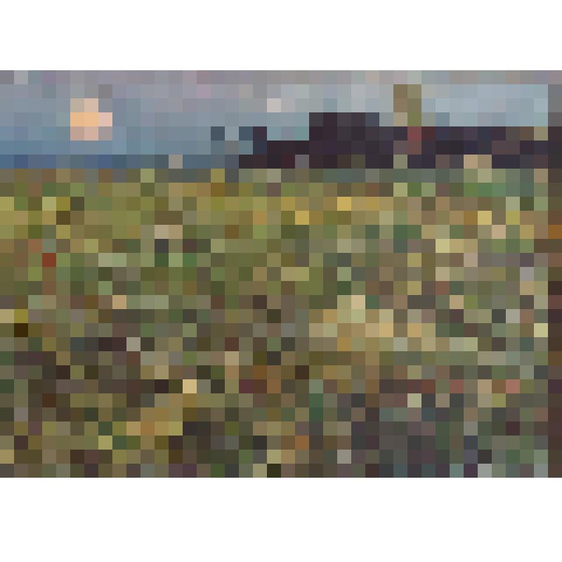 Каменная степь. Вечер