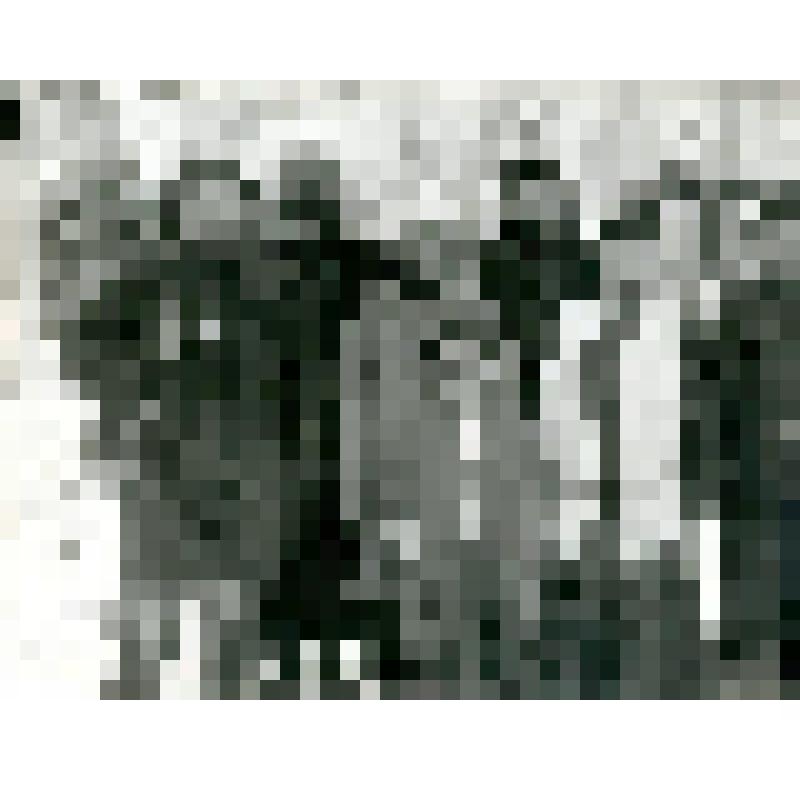 Фотография. Группа тунгусов в урочище Няльгя