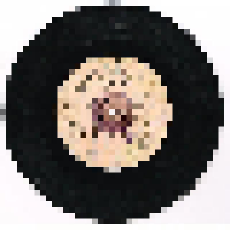 ВИА Веселые ребята. - Апрелевский  завод. Из комплекта: Коллекция Шиловой А.С